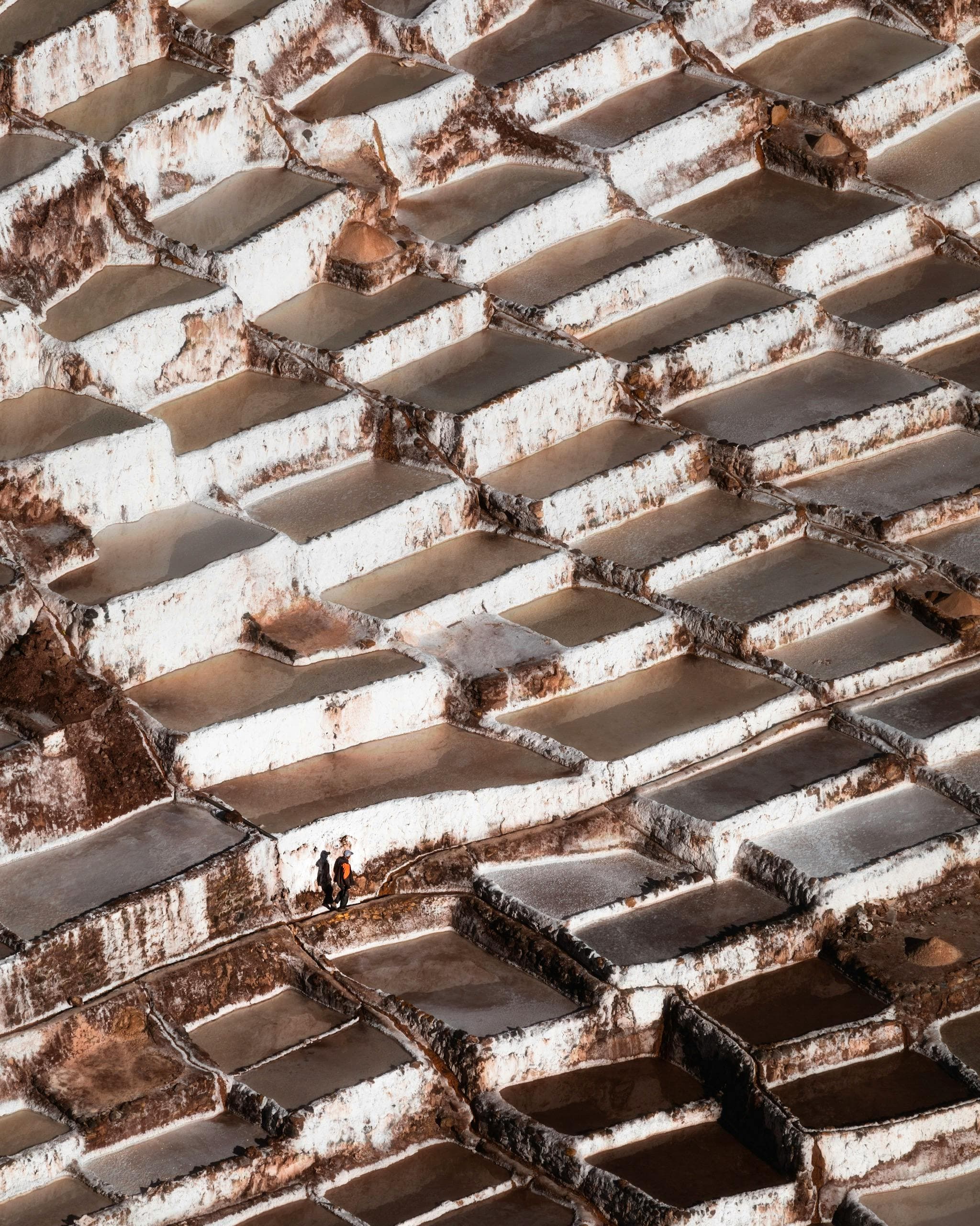 Precision-managed crop yields maximizing quality and environmental sustainability.